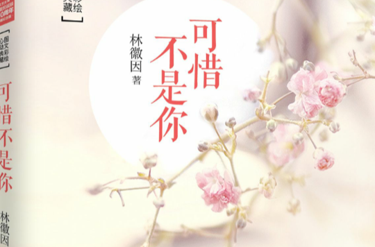可惜不是你(林徽因诞辰110周年典藏纪念版《可惜不是你》) 可惜不是你(林徽因诞辰110周年典藏纪念版《可惜不是你》)