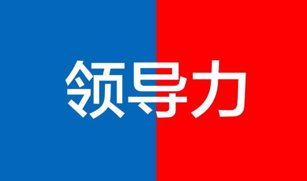 领导力(领导者素质核心) 领导力(领导者素质核心)