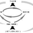 深度行销 深度行销