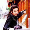 杨四郎(杨延朗(《杨家将》中艺术形象)) 杨四郎(杨延朗(《杨家将》中艺术形象))