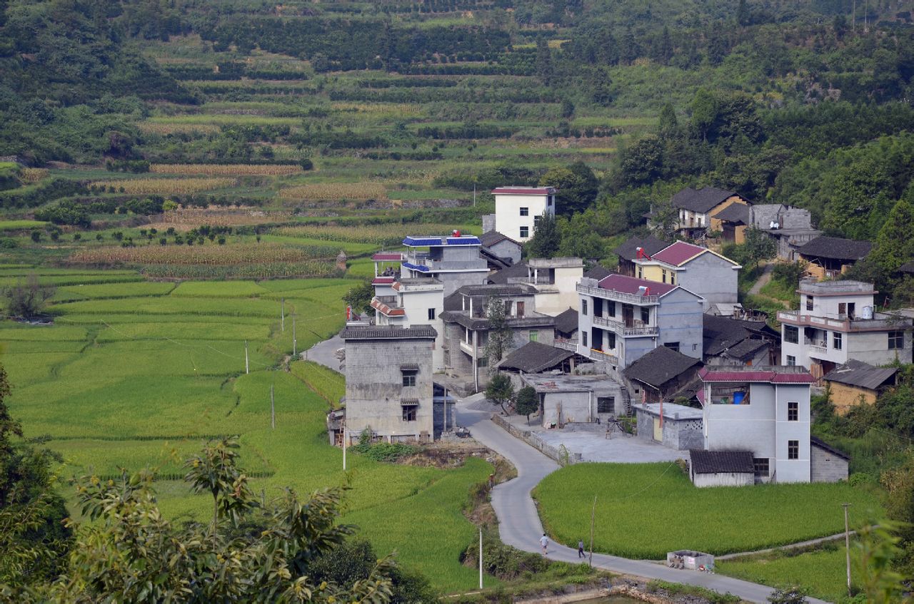 坪溪山村 坪溪山村