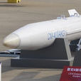 CM-400AKG巡航飞弹 CM-400AKG巡航飞弹
