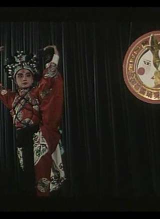 赵鸿飞