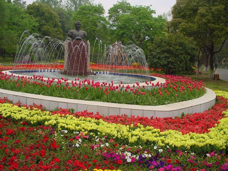 植物园(展览植物的场所) 植物园(展览植物的场所)