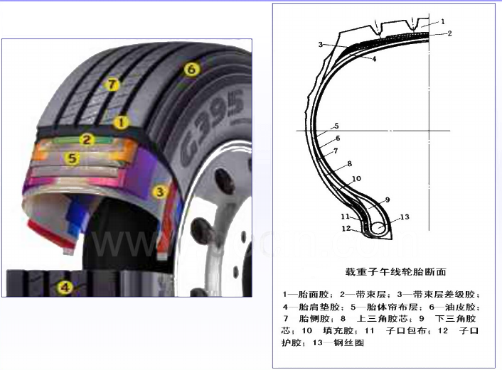 图1 载重子午胎 图1 载重子午胎