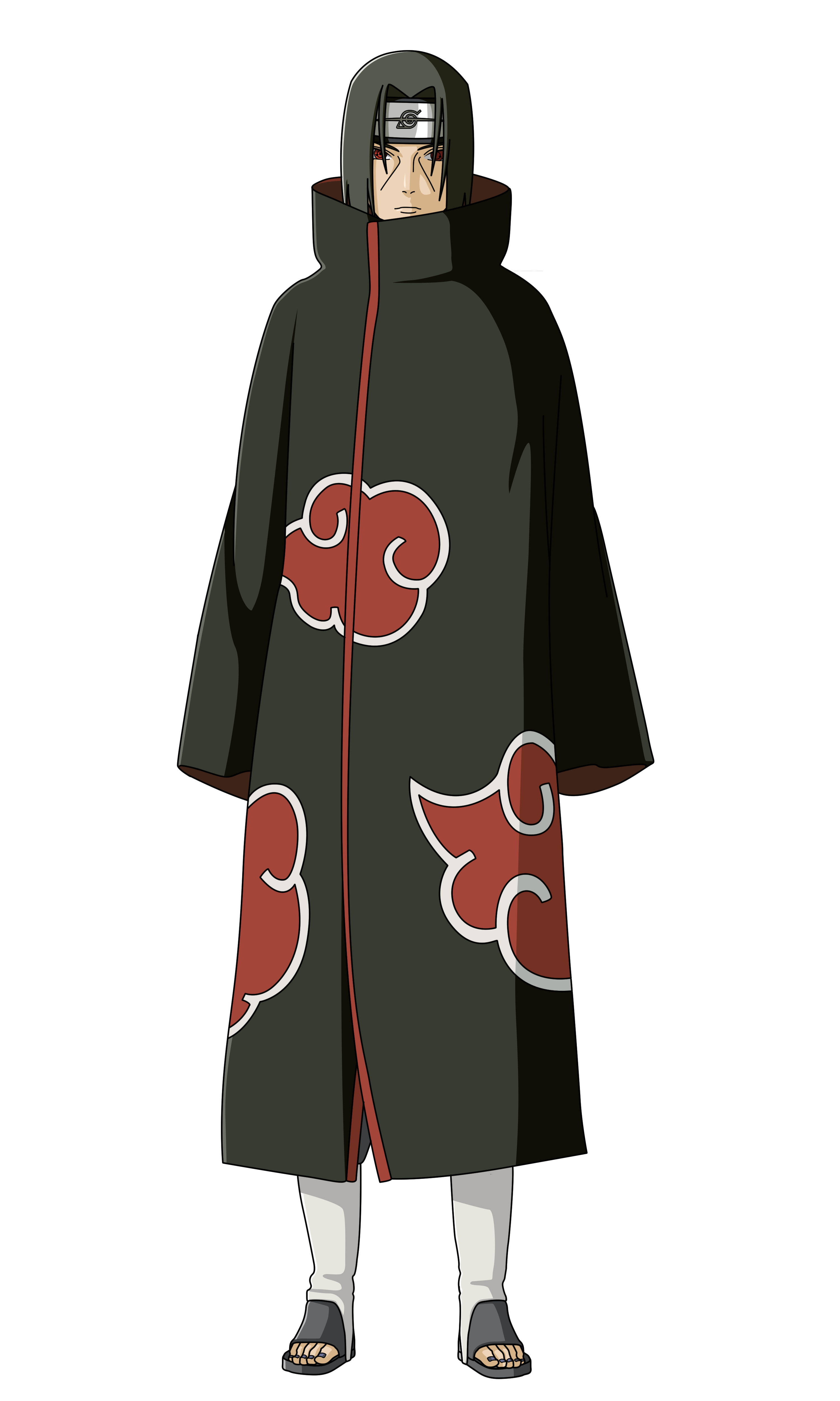 晓(晓组织)