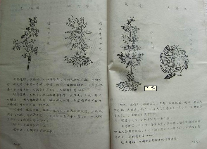 本草图经