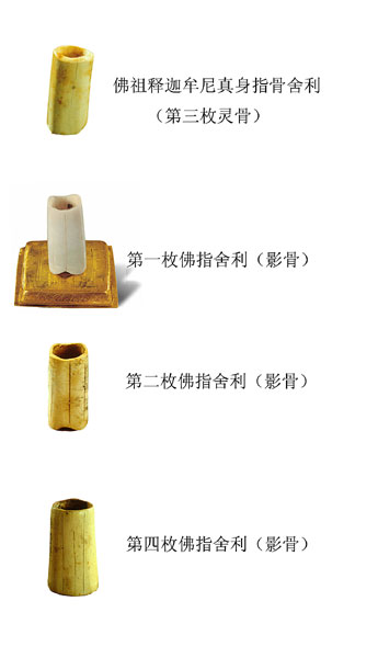 法门寺发现的佛祖真身舍利及影骨 法门寺发现的佛祖真身舍利及影骨