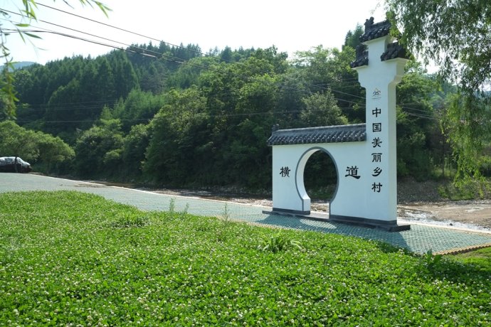 横道子村 横道子村