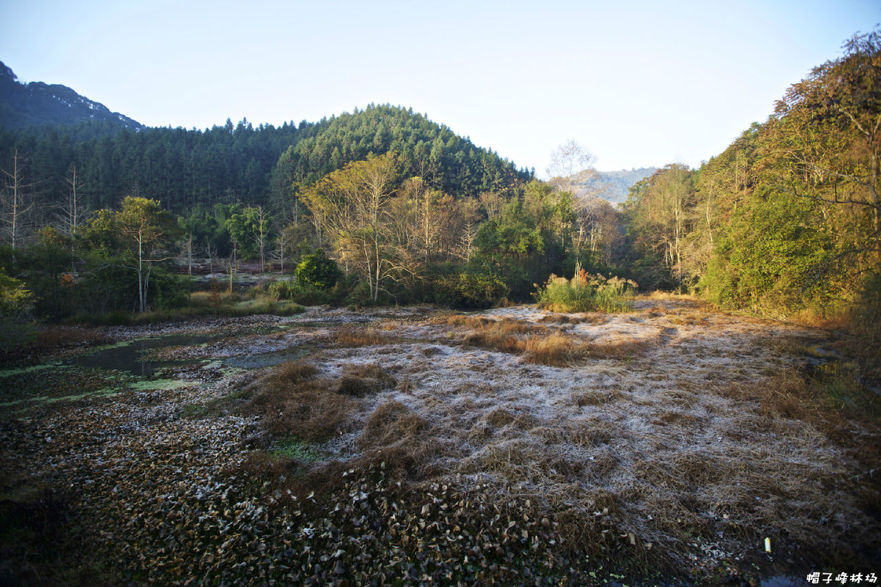 帽子峰林场 帽子峰林场