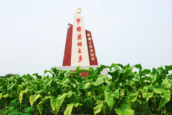 菸叶之乡 菸叶之乡