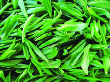 茶(中国传统饮品)