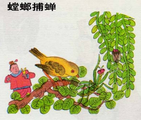 螳螂捕蝉(成语) 螳螂捕蝉(成语)