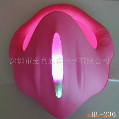 LED七彩变色壁灯 LED七彩变色壁灯
