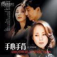 手心手背(2002年何琳主演电视剧) 手心手背(2002年何琳主演电视剧)