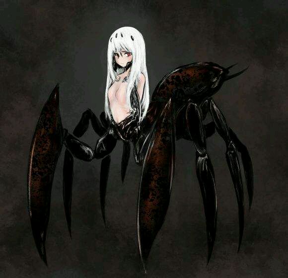 蜘蛛娘 蜘蛛娘