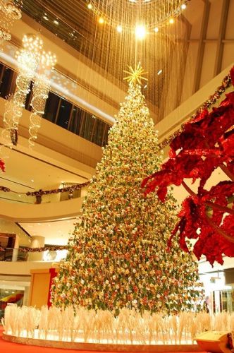 圣诞树Christmastree 圣诞树Christmastree