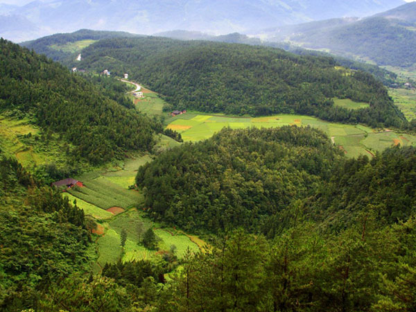 武陵山野生动物驯养繁殖场 武陵山野生动物驯养繁殖场