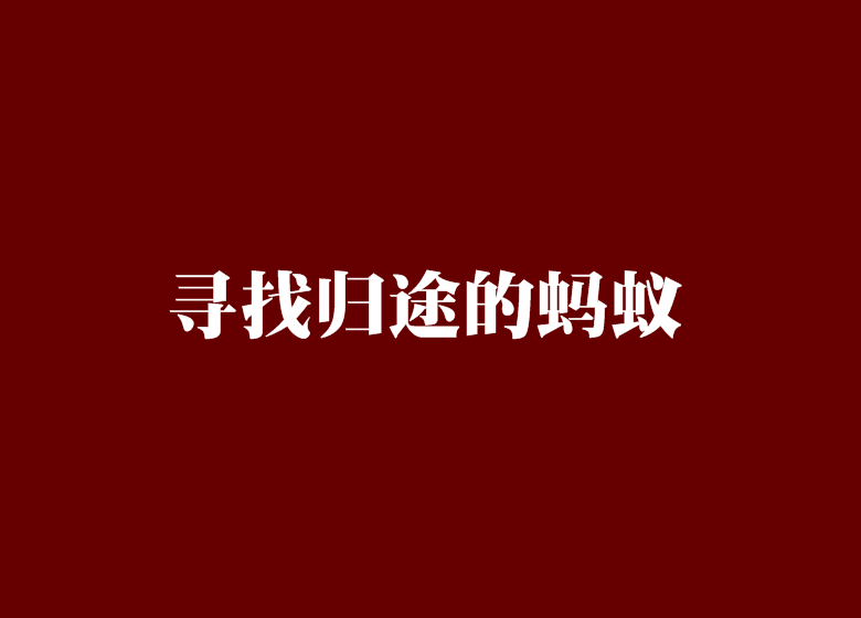 寻找归途的蚂蚁 寻找归途的蚂蚁