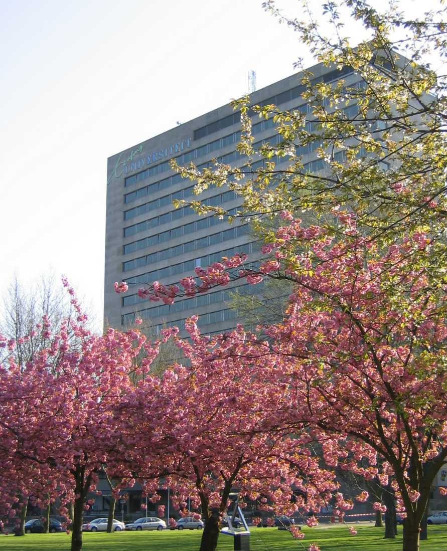 伊拉斯姆斯大学(鹿特丹大学) 伊拉斯姆斯大学(鹿特丹大学)