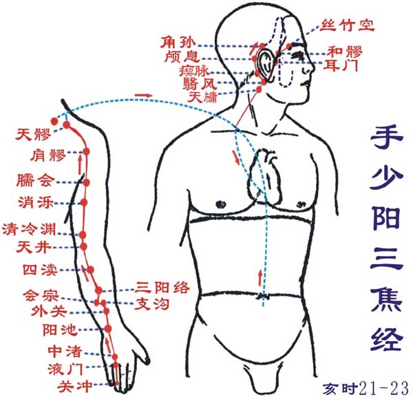 三焦经 三焦经