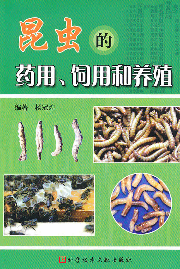 药用昆虫 药用昆虫