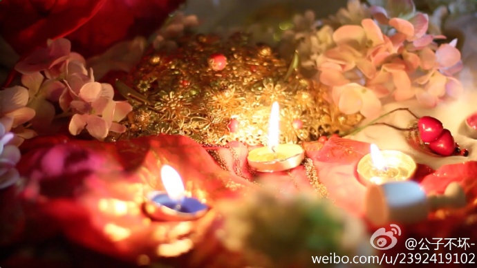 公子不坏 公子不坏