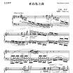 革命练习曲 革命练习曲