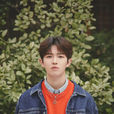 金在奂(韩国男歌手) 金在奂(韩国男歌手)