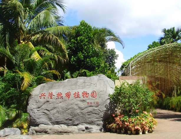 兴隆热带植物园 兴隆热带植物园