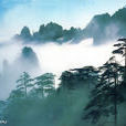 雾(一种自然天气现象) 雾(一种自然天气现象)