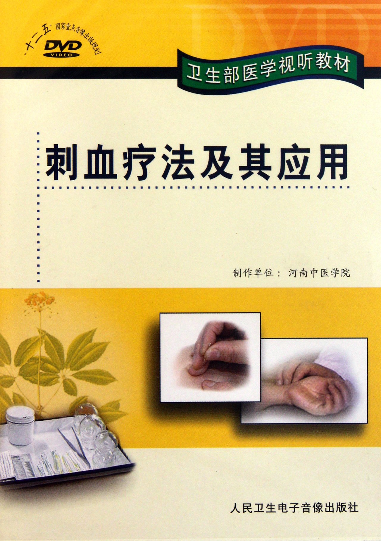 刺血疗法及其套用 刺血疗法及其套用