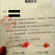 协定离婚 协定离婚