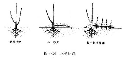 水平压条 水平压条