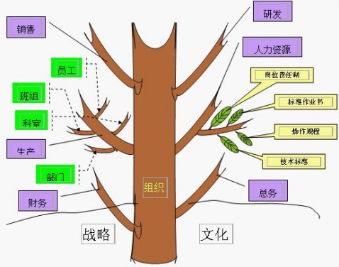组织设计 组织设计