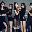 FIESTAR FIESTAR