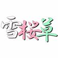 雪桜草 雪桜草