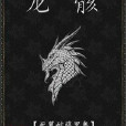 龙骸(死翼耐萨里奥着网路小说) 龙骸(死翼耐萨里奥着网路小说)
