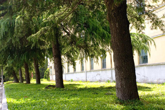 学校风景 学校风景