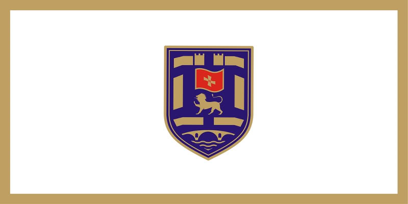 尼克希奇市旗 尼克希奇市旗
