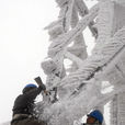 雪灾 雪灾