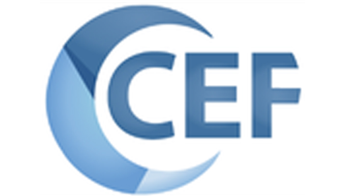 CEF(Chromium嵌入式框架) CEF(Chromium嵌入式框架)