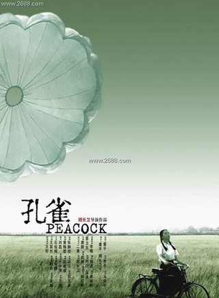 田小洁