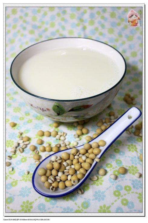 黄豆浆 黄豆浆