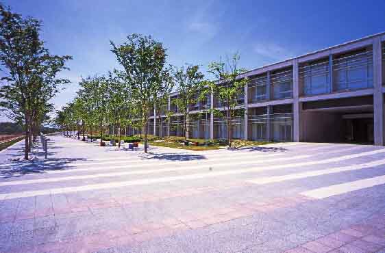 早稻田大学 早稻田大学