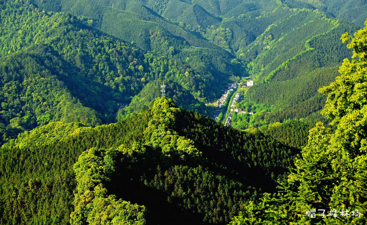 帽子峰林场 帽子峰林场