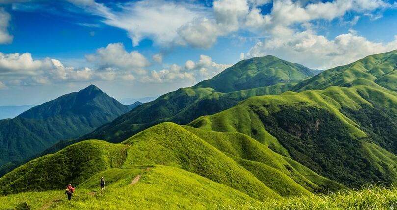 武功山高山草甸 武功山高山草甸