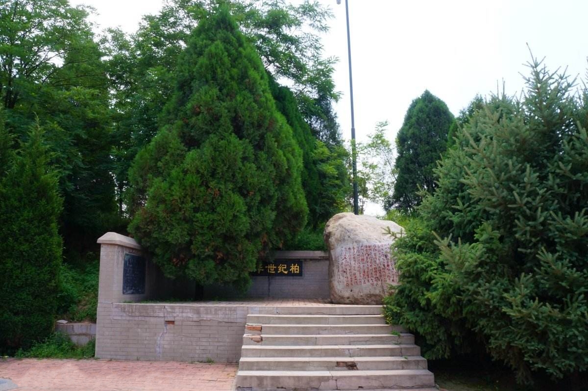 黄帝陵(天下第一陵：桥山黄帝陵)