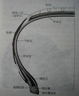 图2 轿车子午胎断面 图2 轿车子午胎断面
