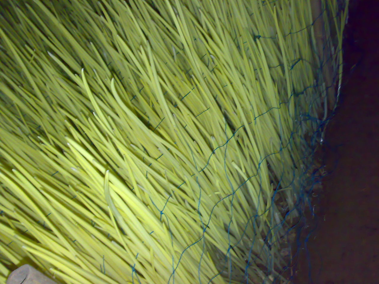 1 1